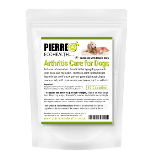 Arthritis Care for Dogs